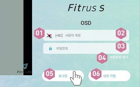 피트러스 S, Manual