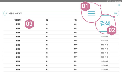 피트러스 S, Manual