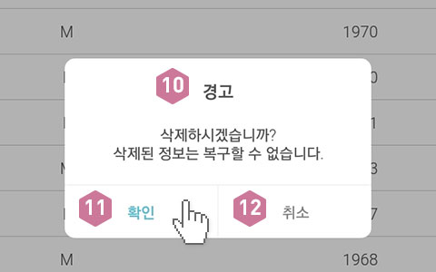 피트러스 S, Manual