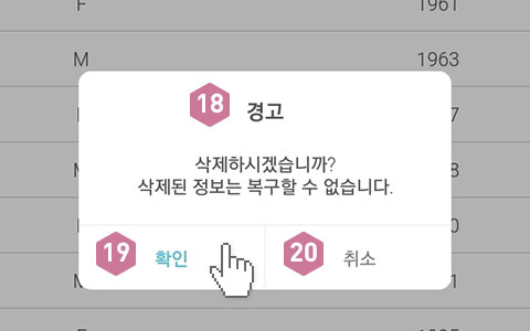 피트러스 S, Manual