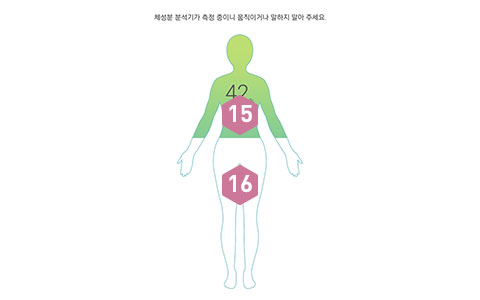 피트러스 S, Manual