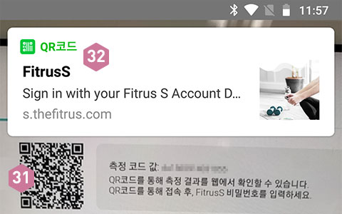 피트러스 S, Manual