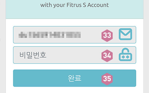 피트러스 S, Manual