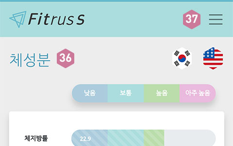 피트러스 S, Manual