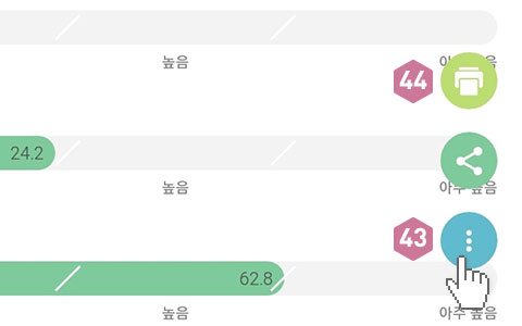 피트러스 S, Manual