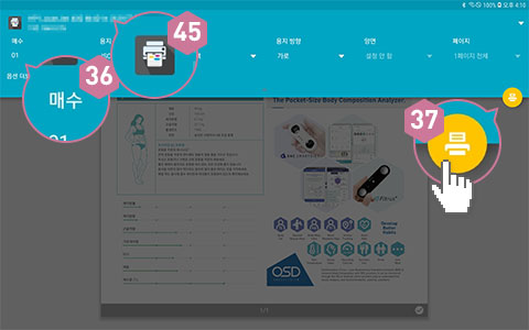 피트러스 S, Manual