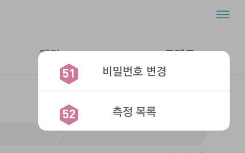 피트러스 S, Manual