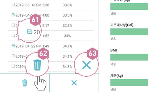 피트러스 S, Manual