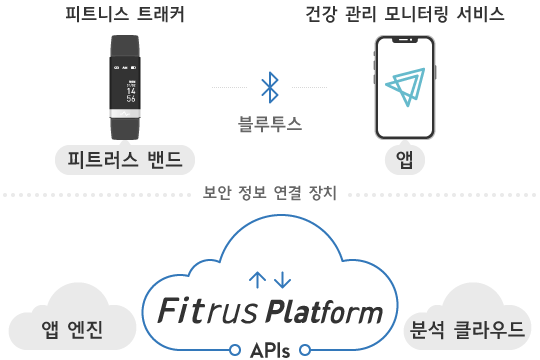 원소프트다임, 디바이스, 피트러스 플러스