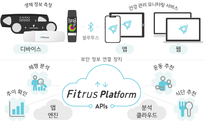 피트러스 플랫폼